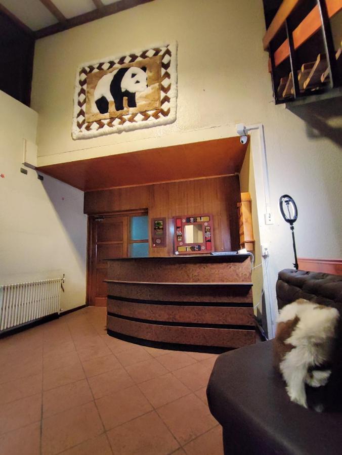 Bed and Breakfast Dallas Housen Osorno Zewnętrze zdjęcie